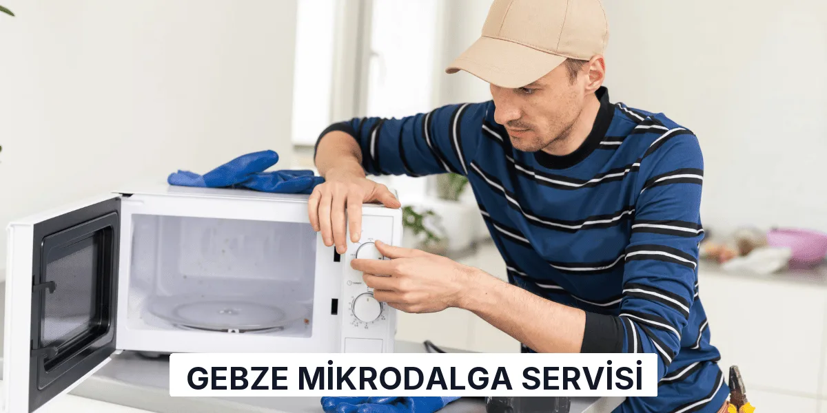 Gebze Mikrodalga Servisi